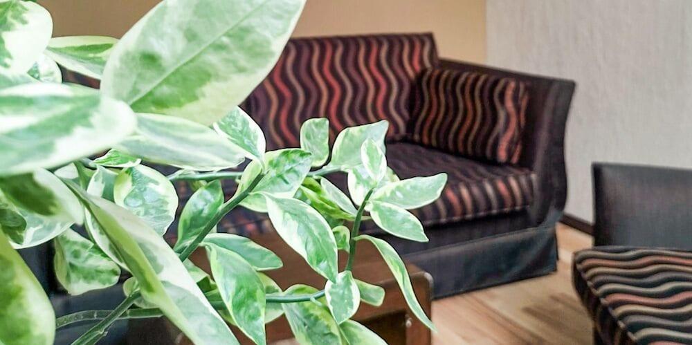 Hotel Terranova Леон Экстерьер фото
